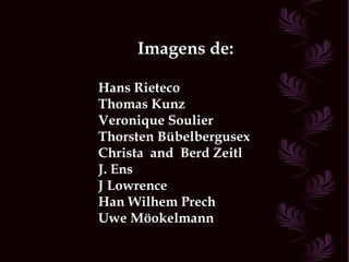 Imagens de: Hans Rieteco Thomas Kunz Veronique Soulier Thorsten Bübelbergusex Christa  and  Berd Zeitl J. Ens J Lowrence Han Wilhem Prech Uwe Möokelmann 