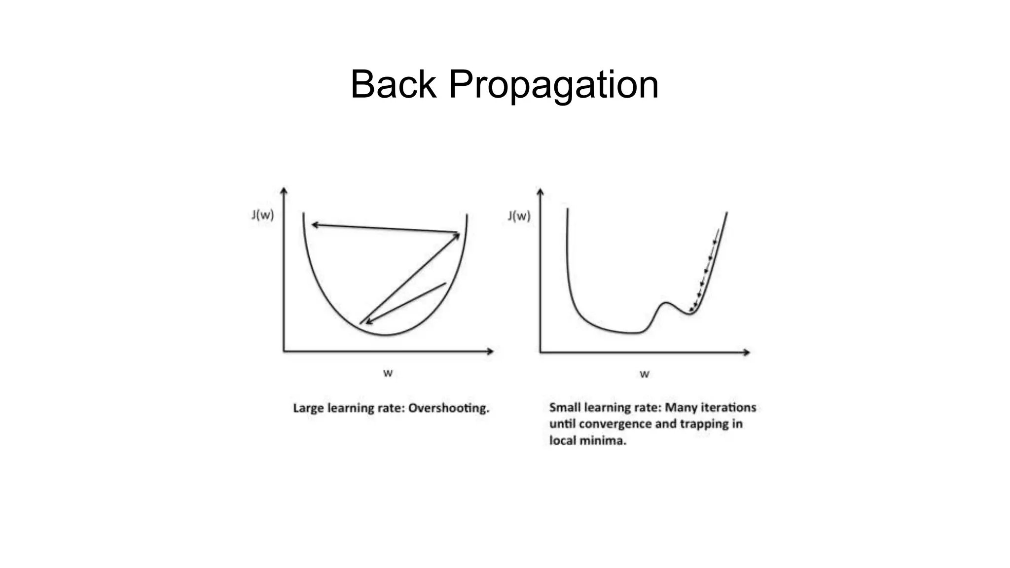 Back Propagation
 