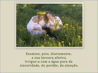 Examine, pois, diariamente,
a sua lavoura afetiva.
Irrigue-a com a água pura da
sinceridade, do perdão, da atenção.
 