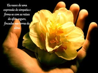 Ela nasce de uma
expressão de simpatiae
firma-se comas raízes
do afetoseguro,
fincadas nas terrasda
alma
 