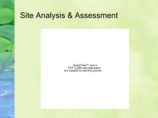 Site Analysis & Assessment




                  QuickTime™ and a
              TIFF (LZW) decompressor
           are neede d to see this picture.
 