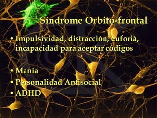 Síndrome Orbito-frontal Impulsividad, distracción, euforia, incapacidad para aceptar códigos Manía Personalidad Antisocial ADHD 
