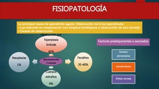 FISIOPATOLOGÍA
La principal causa de apendicitis aguda: Obstrucción de la luz apendicular.
• Luz reducida en comparación con longitud predispone a obstrucción de asa cerrada.
• Causas de obstrucción:
Generalmente
4 causas
Obstrucción por
hiperplasia
linfoide
60%
Fecalitos
35-40%
Cuerpos
extraños
4%
Neoplasias
1%
Excesos
alimentarios
Dietas carneas
Estreñimiento
Factores predisponentes o asociados
 