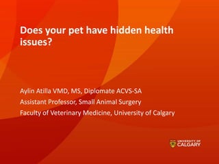 Does your pet have hidden health
issues?
Aylin Atilla VMD, MS, Diplomate ACVS-SA
Assistant Professor, Small Animal Surgery
Faculty of Veterinary Medicine, University of Calgary
 