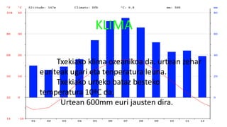 KLIMA
Txekiako klima ozeanikoa da. urtean zehar
euriteak ugari eta tenperatura leuna.
Txekiako urteko bataz besteko
temperatura 10ªC da.
Urtean 600mm euri jausten dira.
 