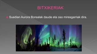  Suedian Aurora Borealak daude eta oso miresgarriak dira.
 