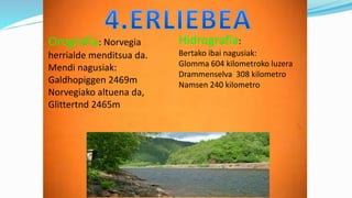 Orografia: Norvegia
herrialde menditsua da.
Mendi nagusiak:
Galdhopiggen 2469m
Norvegiako altuena da,
Glittertnd 2465m
Hidrografia:
Bertako ibai nagusiak:
Glomma 604 kilometroko luzera
Drammenselva 308 kilometro
Namsen 240 kilometro
 