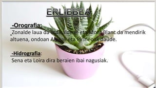 4.ERLIEBEA
-Orografia:
Zonalde laua da erdikaldean eta Mont Blanc da mendirik
altuena, ondoan Alpeak eta Pirineoak daude.
-Hidrografia:
Sena eta Loira dira beraien ibai nagusiak.
 