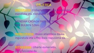 ERLIEBEA
OROGRAFIA: Erdialdeko ordokia kostaldeko
mendixka eta mendixkaz inguratuta dago
MENDIAK:CROAGH PATRICK 764m
BEN BULBEN 526m
HIDROGRAFIA: Itsaso atlantikoa dauka
inguratuta eta Liffey ibaia nagusiena da.
BITXIKERIAK: Uharte esmeralda,
bere hezizena da
 