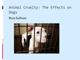 Animal Cruelty: The Effects on
Dogs
Russ Sullivan
 