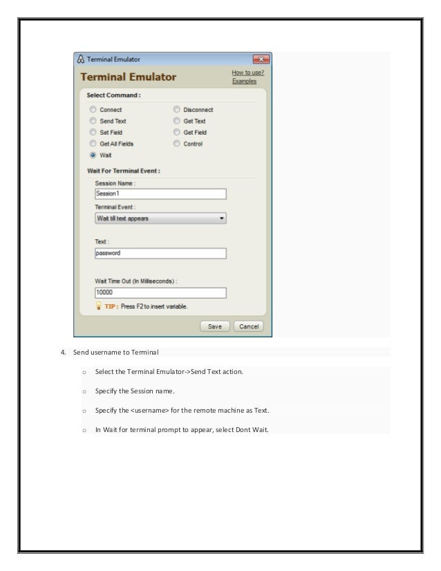 Terminal Emulator Command in Automation Anywhere