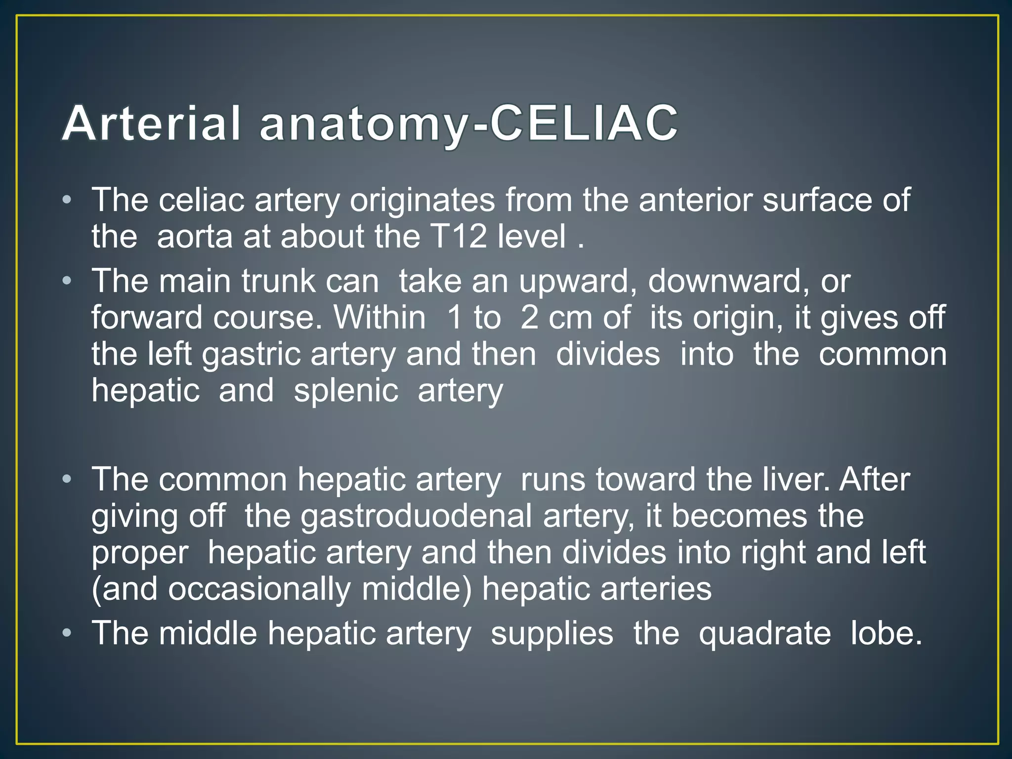 • The celiac artery originates from the anterior surface of
the aorta at about the T12 level .
• The main trunk can take an upward, downward, or
forward course. Within 1 to 2 cm of its origin, it gives off
the left gastric artery and then divides into the common
hepatic and splenic artery
• The common hepatic artery runs toward the liver. After
giving off the gastroduodenal artery, it becomes the
proper hepatic artery and then divides into right and left
(and occasionally middle) hepatic arteries
• The middle hepatic artery supplies the quadrate lobe.
 