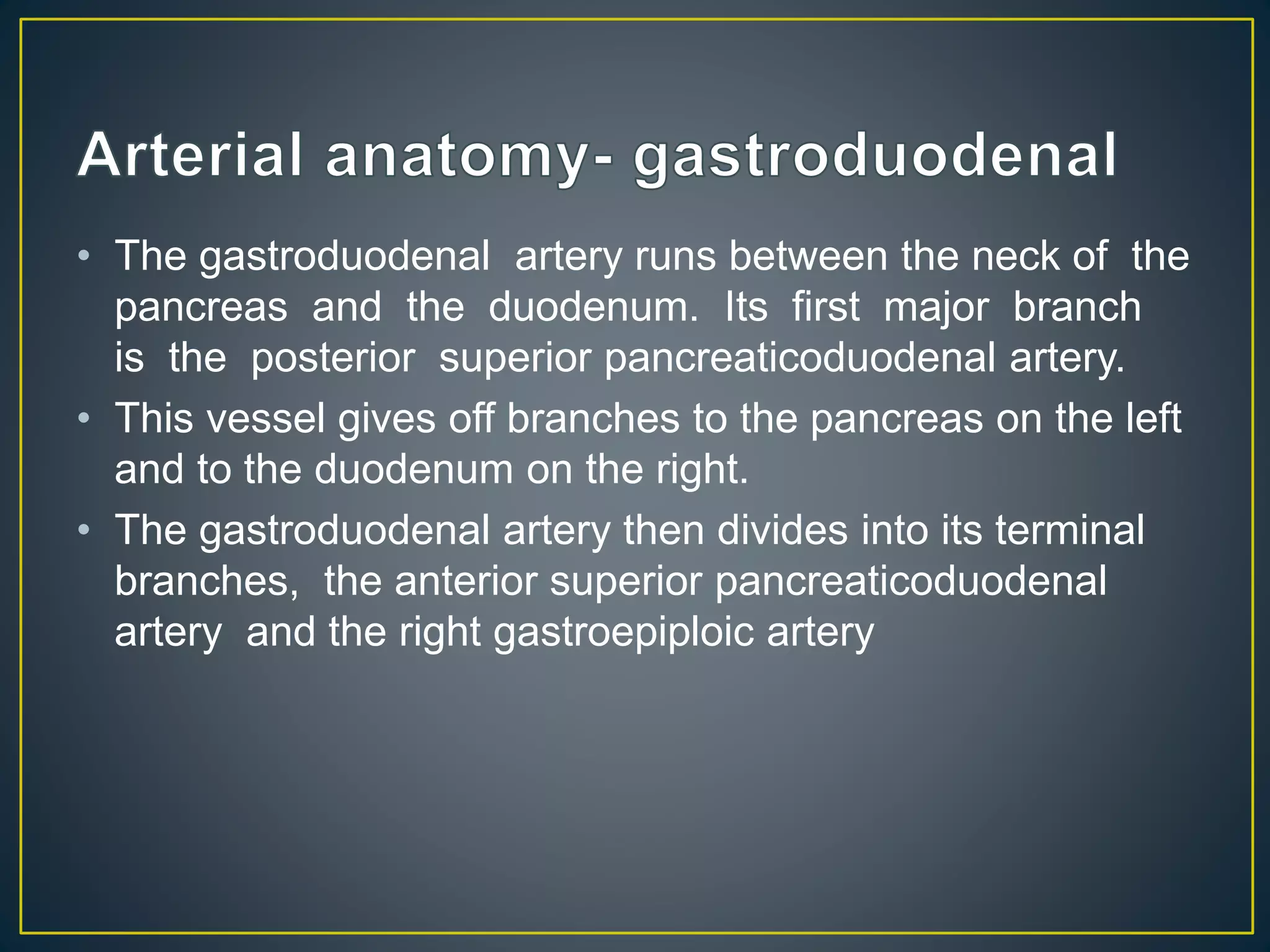 • The gastroduodenal artery runs between the neck of the
pancreas and the duodenum. Its first major branch
is the posterior superior pancreaticoduodenal artery.
• This vessel gives off branches to the pancreas on the left
and to the duodenum on the right.
• The gastroduodenal artery then divides into its terminal
branches, the anterior superior pancreaticoduodenal
artery and the right gastroepiploic artery
 