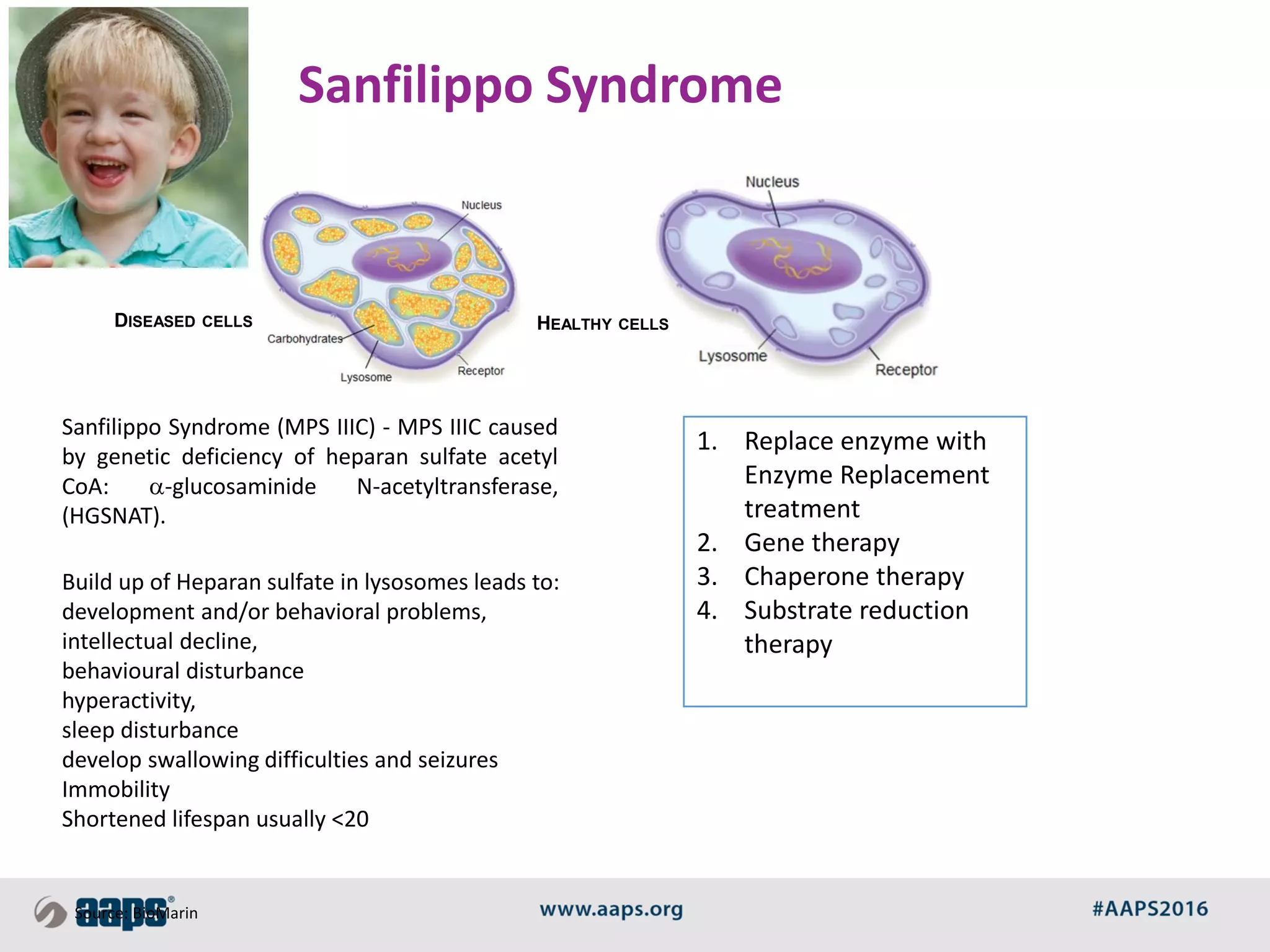 DISEASED CELLS HEALTHY CELLS
Source: BioMarin
Sanfilippo Syndrome
Build up of Heparan sulfate in lysosomes leads to:
development and/or behavioral problems,
intellectual decline,
behavioural disturbance
hyperactivity,
sleep disturbance
develop swallowing difficulties and seizures
Immobility
Shortened lifespan usually <20
1. Replace enzyme with
Enzyme Replacement
treatment
2. Gene therapy
3. Chaperone therapy
4. Substrate reduction
therapy
Sanfilippo Syndrome (MPS IIIC) - MPS IIIC caused
by genetic deficiency of heparan sulfate acetyl
CoA: a-glucosaminide N-acetyltransferase,
(HGSNAT).
 