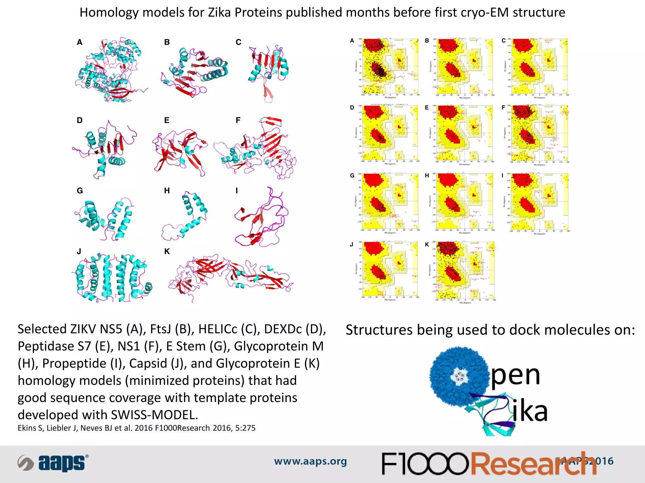 Homology models for Zika Proteins published months before first cryo-EM structure
Ekins S, Liebler J, Neves BJ et al. 2016 F1000Research 2016, 5:275
Structures being used to dock molecules on:Selected ZIKV NS5 (A), FtsJ (B), HELICc (C), DEXDc (D),
Peptidase S7 (E), NS1 (F), E Stem (G), Glycoprotein M
(H), Propeptide (I), Capsid (J), and Glycoprotein E (K)
homology models (minimized proteins) that had
good sequence coverage with template proteins
developed with SWISS-MODEL.
 