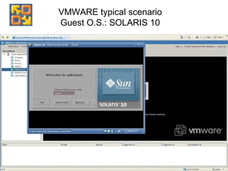 VMWARE typical scenario Guest O.S.: SOLARIS 10 