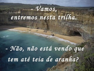 - Vamos, entremos nesta trilha. - Não, não está vendo que tem até teia de aranha?   
