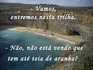 - Vamos,
entremos nesta trilha.
- Não, não está vendo que
tem até teia de aranha?
 