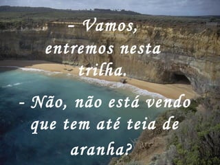 -  Vamos, entremos nesta trilha. - Não, não está vendo que tem até teia de aranha?   