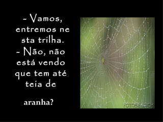 - Vamos,
entremos ne
  sta trilha.
- Não, não
está vendo
que tem até
   teia de

  aranha?
 