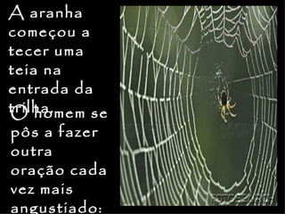 A aranha
começou a
tecer uma
teia na
entrada da
trilha.
O homem se
pôs a fazer
outra
oração cada
vez mais
angustiado:
 