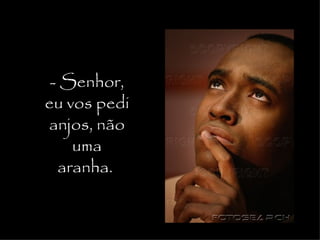 - Senhor,
eu vos pedi
anjos, não
    uma
  aranha. 
 