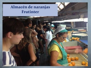 Almacén de naranjas
Frutinter

 