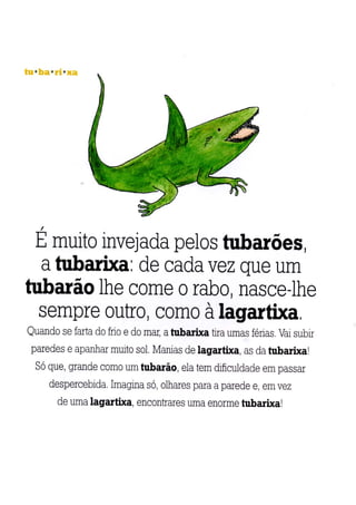 A arca de não é