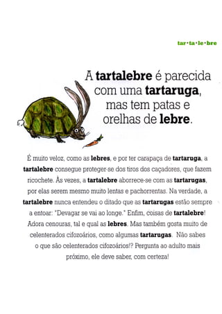 A arca de não é
