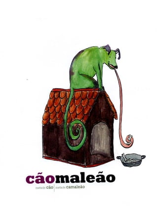 A arca de não é