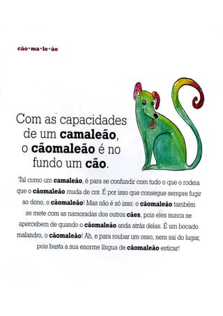 A arca de não é