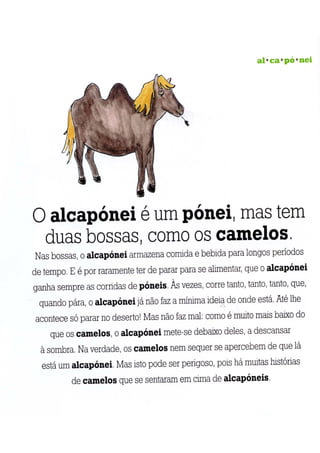 A arca de não é