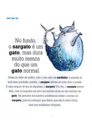 A arca de não é