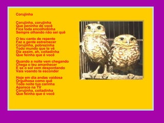 Corujinha Corujinha, corujinha Que peninha de você Fica toda encolhidinha Sempre olhando não sei quê O teu canto de repente Faz a gente estremecer Corujinha, pobrezinha Todo mundo que te vê Diz assim, ah, coitadinha Que feinha que é você Quando a noite vem chegando Chega o teu amanhecer E se o sol vem despontando Vais voando te esconder Hoje em dia andas vaidosa Orgulhosa como quê Toda noite tua carinha Aparece na TV Corujinha, coitadinha  Que feinha que é você   