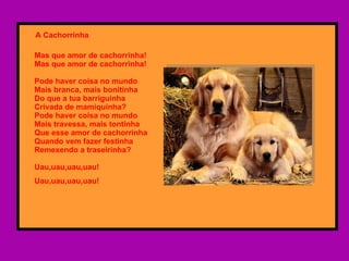 A Cachorrinha Mas que amor de cachorrinha! Mas que amor de cachorrinha! Pode haver coisa no mundo  Mais branca, mais bonitinha  Do que a tua barriguinha  Crivada de mamiquinha?  Pode haver coisa no mundo  Mais travessa, mais tontinha  Que esse amor de cachorrinha  Quando vem fazer festinha  Remexendo a traseirinha?  Uau,uau,uau,uau!  Uau,uau,uau,uau!   