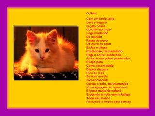 O Gato Com um lindo salto Leve e seguro O gato passa Do chão ao muro Logo mudando De opinião Passa de novo Do muro ao chão E pisa e passa Cuidadoso, de mansinho Pega e corre, silencioso Atrás de um pobre passarinho E logo pára Como assombrado Depois dispara Pula de lado Se num novelo Fica enroscado Ouriça o pêlo, mal-humorado Um preguiçoso é o que ele é E gosta muito de cafuné E quando à noite vem a fadiga Toma seu banho Passando a língua pela barriga   