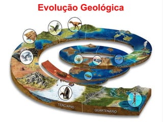 Evolução Geológica
 