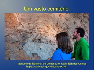 Um vasto cemitério
Monumento Nacional ao Dinossauro, Utah, Estados Unidos
https://www.nps.gov/dino/index.htm
 