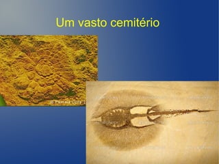 Um vasto cemitério
 