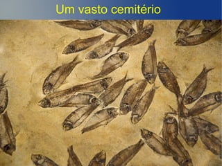 Um vasto cemitério
 
