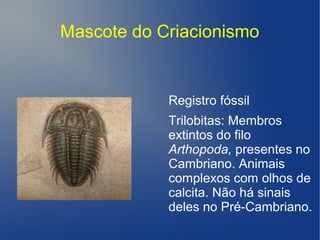 Mascote do Criacionismo
Registro fóssil
Trilobitas: Membros
extintos do filo
Arthopoda, presentes no
Cambriano. Animais
complexos com olhos de
calcita. Não há sinais
deles no Pré-Cambriano.
 