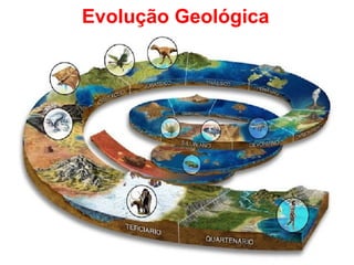 Evolução Geológica
 