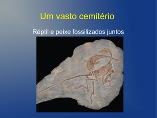 Um vasto cemitério
Réptil e peixe fossilizados juntos
 