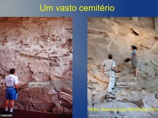 Um vasto cemitério
https://www.nps.gov/dino/index.htm
 