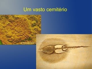 Um vasto cemitério
 