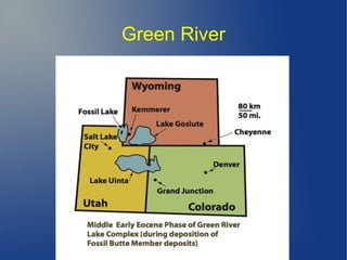 Green River
 
