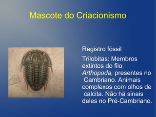 Mascote do Criacionismo
Registro fóssil
Trilobitas: Membros
extintos do filo
Arthopoda, presentes no
Cambriano. Animais
complexos com olhos de
calcita. Não há sinais
deles no Pré-Cambriano.
 