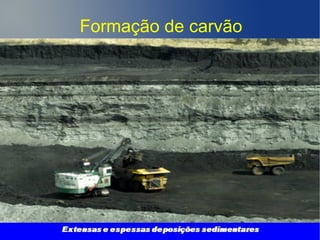 Formação de carvão
 