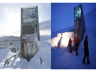 La entrada de la bóveda tiene un  diseño futurista  con unos espejos metálicos que reflejan el sol durante el día y brillan en la oscuridad por la noche, concebido por la artista noruega  Dyveke Sanne . Junto a la puerta se encuentran los compresores cuya función es enfriar el interior del bunker. 