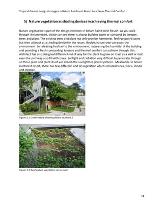 Tropical Passive design strategies in Belum Rainforest Resort to achieve Thermal Comfort .
14
5) Nature vegetationas shading devices inachieving thermal comfort
Nature vegetation is part of the design intention in Belum Rain Forest Resort. As you walk
through Belum resort, visitor can see there is always building cover or surround by creeper,
trees and plant. The existing trees and plant not only provide harmonies feeling toward users
but then also act as a shading device for the resort. Beside, nature tree can cools the
environment by releasing fresh air to the environment, increasing the humidity of the building
and providing a fresh surrounding to users and thermal comfort can achieve through this.
Architect has also designed different kind of way for the plant to grow on it act as a wall or roof,
even the pathway also fill with trees. Sunlight and radiation very difficult to penetrate through
all these plant and plant itself will absorb the sunlight for photosynthesis. Meanwhile in Belum
rainforest resort, there has few different kind of vegetation which included vines, trees, shrubs
and creeper.
Figure 5.1 Outer nature shading device at phase 2
Figure 5.2 Roof nature vegetation act as roof
 